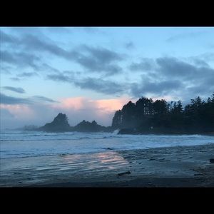 Meet your Posher, Celeste